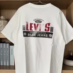 90s  Levi's USA製 リーバイスUSA製　フェード　Copper Riveted Blue Jeans アメカジ　ヴィンテージTシャツ　Vintage 筆記体ロゴ DJ-34