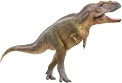2026年最新】カルカロドントサウルスの人気アイテム - メルカリ