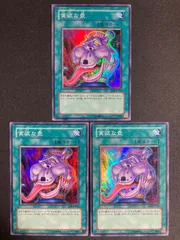 2026年最新】FOIL 血清の粉末の人気アイテム - メルカリ