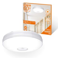 Item thumbnail for item 8c9d1b09-ae02-4179-912a-e0ee0d3f4d00