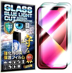 ＲＩＳＥ ＰＲＯＤＵＣＴＳ ブルーライトカット 93%2枚 RISE ガラスフィルム iPhone 14 / iPhone13 Pro 用 保護フィルム