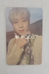 Seventeen セブチ ウォヌ Face the Sun ep.3 Ray Ver.