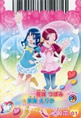 【中古】プリキュアデータカードダス HCDDプロモーション01[プロモ]：花咲つぼみ＆来海えりか