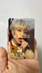 Seventeen セブチ ウォヌ Face the Sun ep.3 Ray Ver.