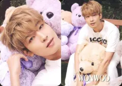 中古】コレクションカード(男性) SEVENTEEN/WONWOO(ウォヌ)/「Dicon