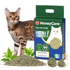 Item thumbnail for item 559025e4-7bd6-481c-8296-0508166457af