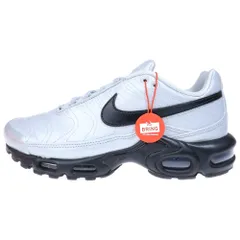 NIKE (ナイキ) Air Max Plus Tiempo エアマックスプラス ティエンポ ローカットスニーカー シルバー US7/25cm HM6850-001