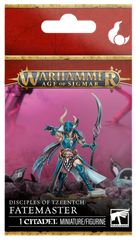 ウォーハンマー】ヘルスミス・オヴ・ハシュット：筆頭魔瘴鍛治師ウラク