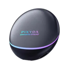 CarPlay AI BOX Android RAY17-PCS47 カープレイ AI ボックス 車で動画配信サービスを視聴 ユーチューブ YouTube Netflix ABEMA TV Disney Qualcommチップ 日本国内メーカ c42aa335