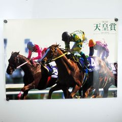 競馬パネル：ホクトベガ「1994年第30回札幌記念」 ※プレート付き