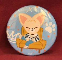 StrayKids THE VICTORY inJAPAN I.N 缶バッジ SKZOO