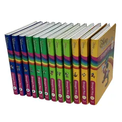 DWE ストレートプレイ 2019年頃 ディズニー英語システム 教材 F11040644