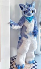 Fursuit Kigurumi ケモノ 着ぐるみ 狼 アトラク コスプレ - メルカリ