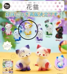 ハナ猫 花猫 ひまわり バージョン