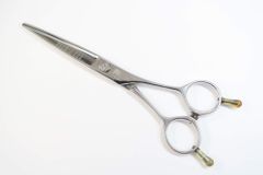 Item thumbnail for item f3e1adfb-654e-4c01-b2fa-848e7ad10b30