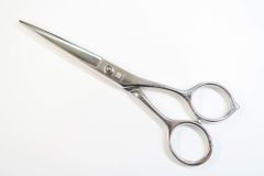 Item thumbnail for item 86d1a1a8-746c-4c8b-aaad-152c3ea5df92