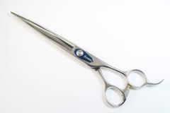 Item thumbnail for item 9c5843aa-bfbe-4bfb-8db6-e28d6341fe1e