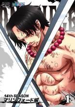 [중고] ONE PIECE 원피스 14th 시즌 마린 포드 편 (14 권 세트) [렌탈 떨어짐] [DVD]