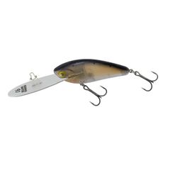 Item thumbnail for item 308e3e9e-ad31-4926-a813-dfdf820fac9d