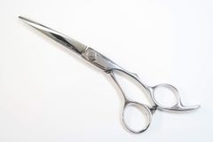 Item thumbnail for item 34f0c8c9-d802-434f-a39d-7f5c42c57dbd