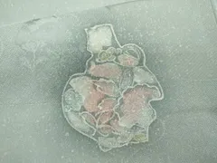 平和屋着物■上質な小紋　地紋起こし　陶器草花文　暈し染め　正絹　逸品　未使用　CABD9793ze