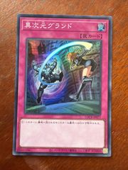 遊戯王 異次元グランド プリズマティックシークレットレア - メルカリ