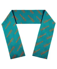 ウェア バイ エリン アンドルーズ レディース アクセサリー マフラー・ストール・スカーフ WEAR by Erin Andrews Womens Miami Dolphins Team Wordmark Scarf Green グリーン