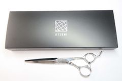 Item thumbnail for item 23ffabc9-a097-4407-acaf-cd0bdec0ae09