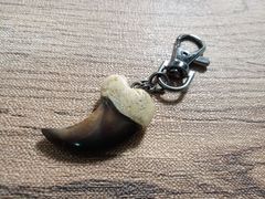熊の爪 キーホルダー ヒグマの爪 羆爪 魔除け 災難除け 財運・金運上昇