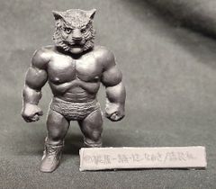 ケーフェイ 佐山聡1985年 初代タイガーマスク - メルカリ