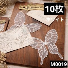 Item thumbnail for item 9560068b-2a12-437f-8dca-7e2bafc6cdf2