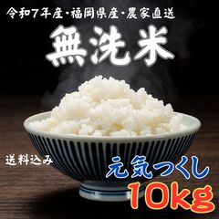 無農薬 白米10kg 兵庫県丹波産 - メルカリ