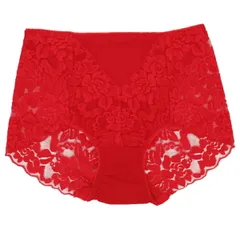 深履き ハイウエスト ストレッチレース 透ける レディース ショーツ 大きいサイズ 全7色 L LL 3L 4L rs4