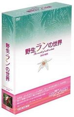 野生ランの世界 DVD-BOX 趣味[DVD](中古)