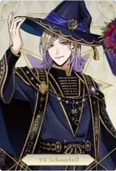 【[ホロ仕様] 14 ヴィル・シェーンハイト (キャラクターカード)】ディズニー ツイステッドワンダーランド/ツインウエハース7