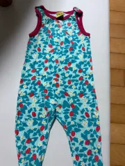 ダンクス 구상 サン딸기 덩가리 86