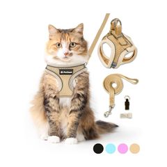 Item thumbnail for item 588b7848-8a6e-4f96-bc13-fd72670961d5