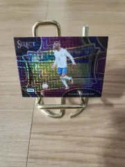 23-24 Panini Select トッテナム Randall Kolo Muani PURPLE 模造 サッカーカード