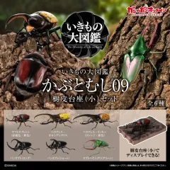 BANDAI いきもの大図鑑 カブトムシ 9タン 6種 ディスプレイ セット