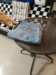 Carhartt カーハート ヴィンテージ デニム デニムシャツ ズボン 35