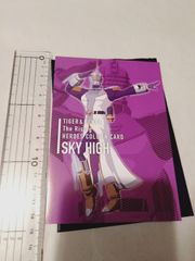 카드] TIGER & BUNNY -The Rising- HEROES COLUMN CARD 스카이하이