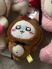 アライグマ モモンガ ぬいぐるみ