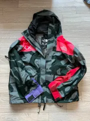 （ L ） カウズ x THE NORTH FACE(ザ・ノース・フェイス) マウンテン ジャケット