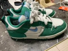 (新品) NIKE(ナイキ) ダンク ロー ディスラプト 2 235