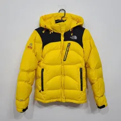 ザノースフェイス / レディース / ダウンジャケット800 / 85サイズ / W866