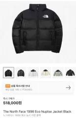 L THE NORTH FACE(ザノースフェイス) 1996 Ecco(エコー) Nuptse(ヌプシ)