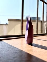 Item thumbnail for item 18e4319c-4f93-477d-a2f8-888533174ffa