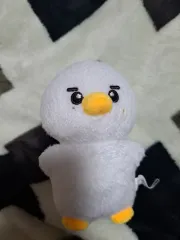 ZEROBASEONE(ゼロベースワン・ZB1・ゼベワン) キム・テレ(KIM TAERAE) 人形 ぬいぐるみ ぬい