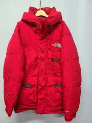 THE NORTH FACE(ザノースフェイス) 700 フィル ダウンジャケット 100