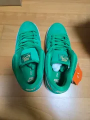 NIKE(ナイキ) sb ダンクロー pro 255